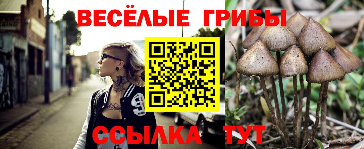 Галлюциногенные грибы ЛСД Мелеуз