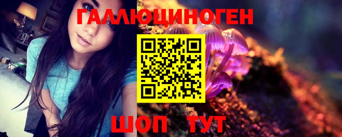 как найти закладки  Вход с VPN  Псилоцибиновые грибы мухоморы  Мелеуз  Галлюциногенные грибы мицелий 